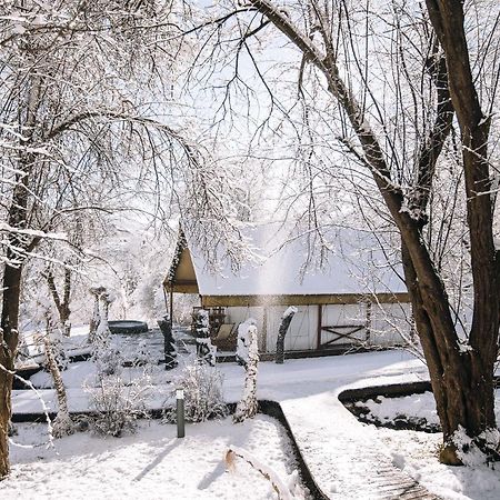 Luxury Vineyard Resort Chateau Ramsak Maribor Exterior foto