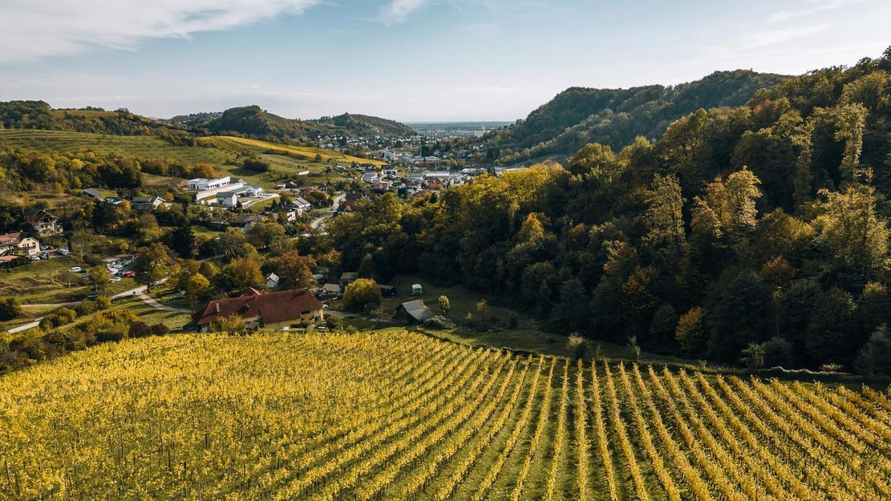 Luxury Vineyard Resort Chateau Ramsak Maribor Exterior foto